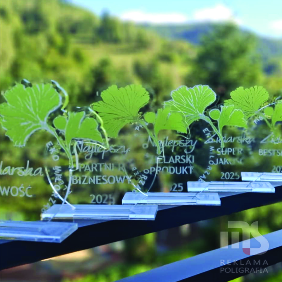 Statuetki NAGRODY-WRÓŻNIENIA